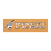 car-magnets-white-10x3-front-6a049389584da.jpg