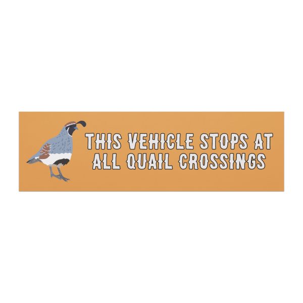 car-magnets-white-10x3-front-6a049389584da.jpg car-magnets-white-10x3-front-6a049389584da.jpg
