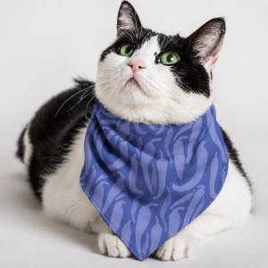 black and white cat with green eyes wearing a purple chili pepper pet bandana