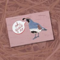 funny arizona gambels quail postcard