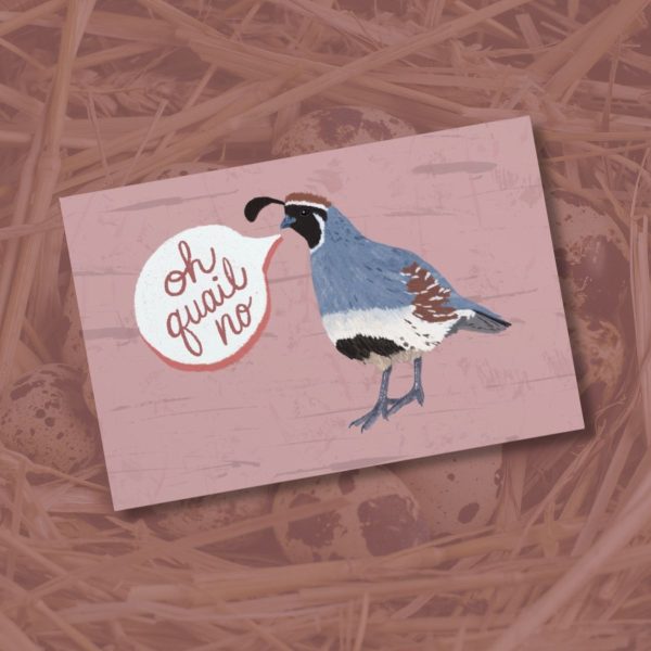 funny arizona gambels quail postcard