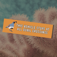orange I brake for quail car magnet with the text "this vehicle stops at all quail crossings"