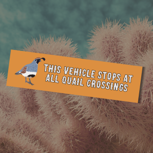 orange I brake for quail car magnet with the text "this vehicle stops at all quail crossings"