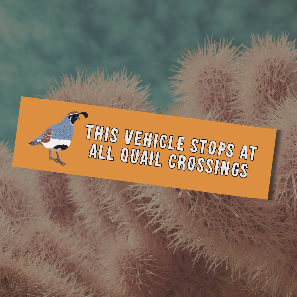 orange I brake for quail car magnet with the text "this vehicle stops at all quail crossings"